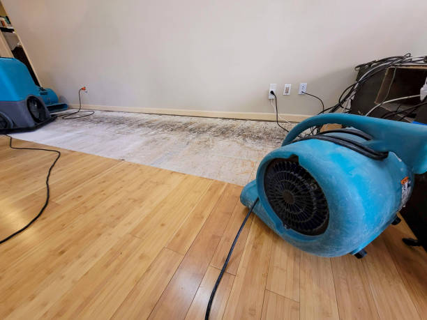 Professional Emergency Water Damage technician working in Aiken, SC